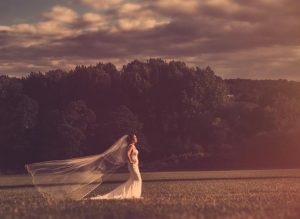 Praise for my wedding photography. Swindon based documentary wedding photographer covering Wiltshire and South West.